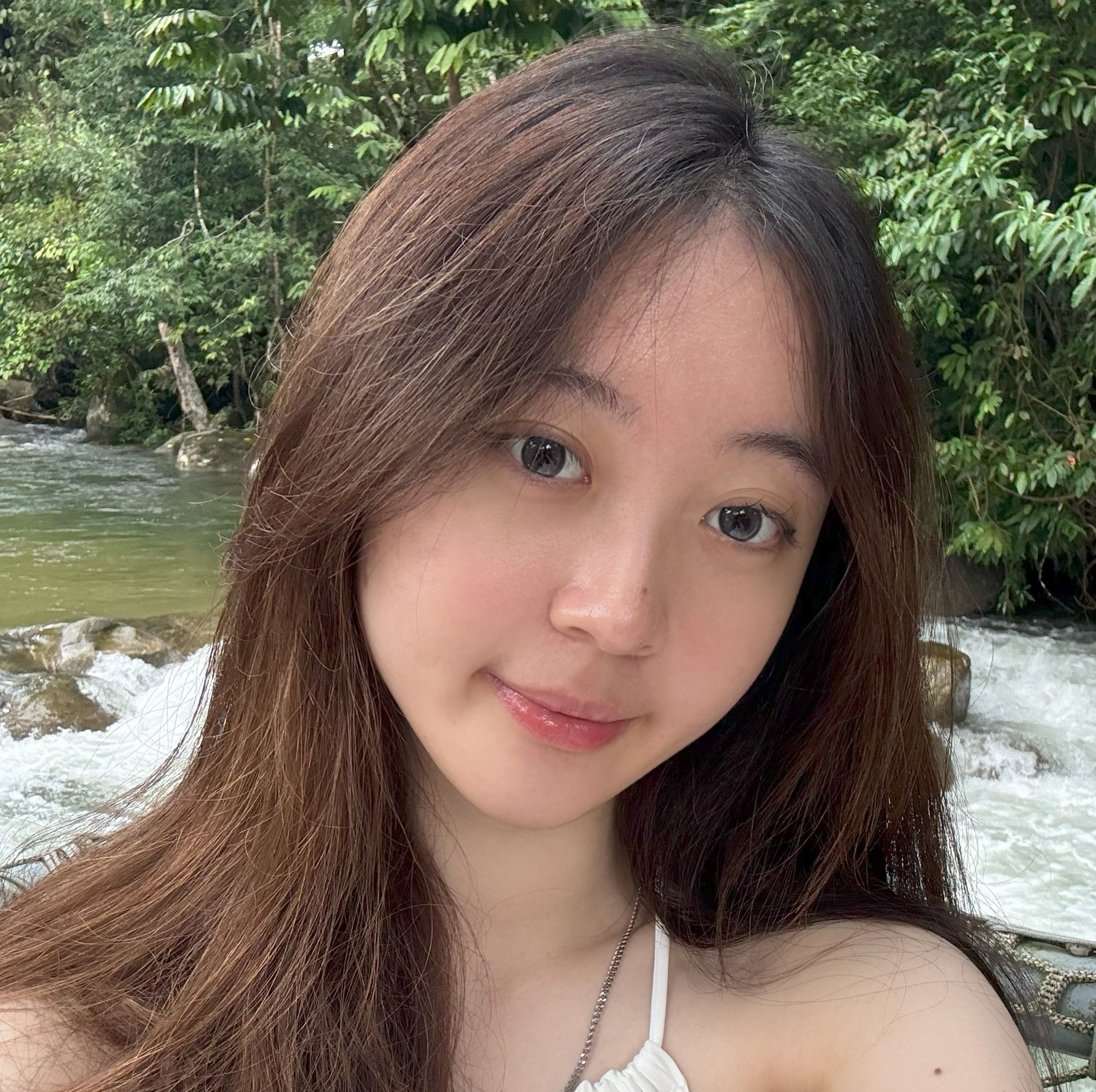 JiaXin